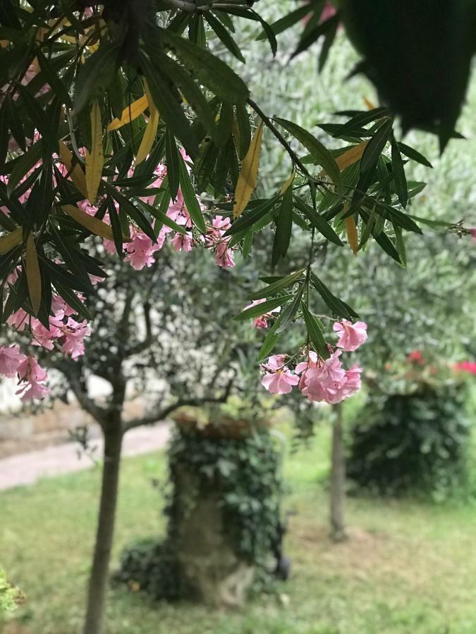La Casa Di Claudia Florença Exterior foto